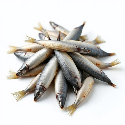 자연원 손질 깐멸치 200g