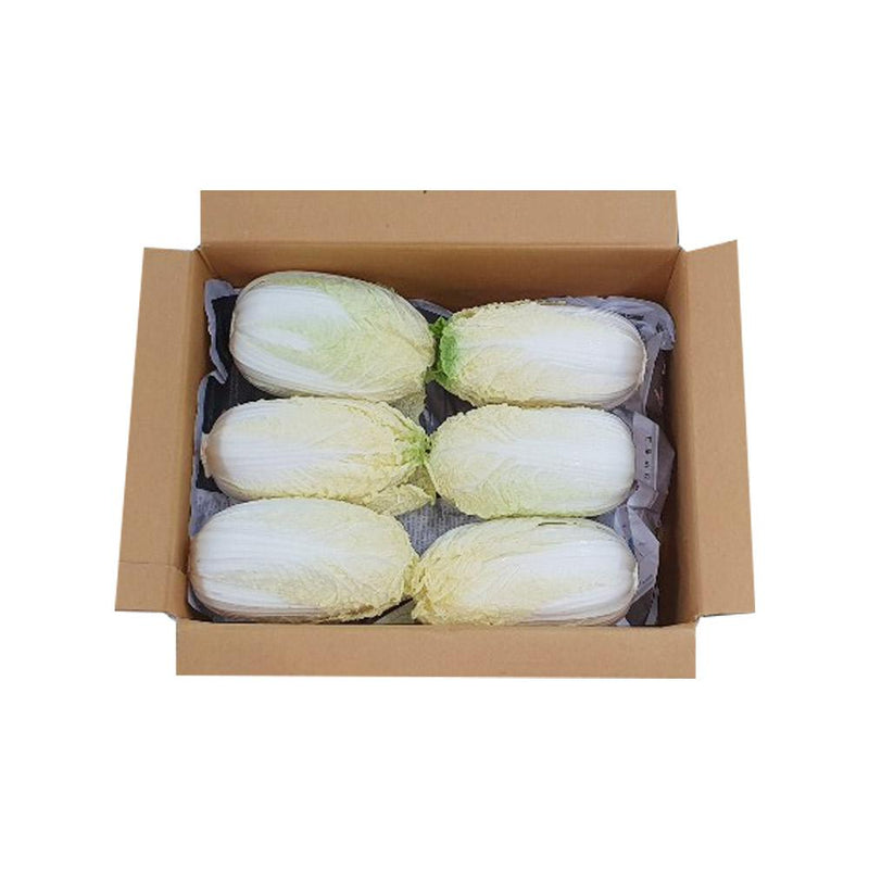 배추 박스 1Box