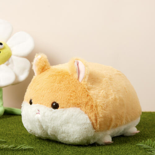 8809880921076 대표이미지