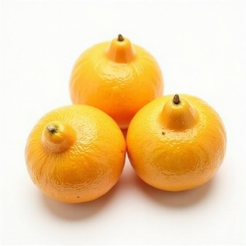 Sumo Orange Tray