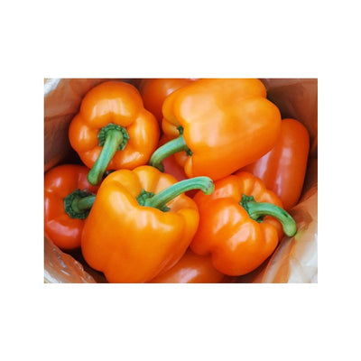 Orange Capsicum