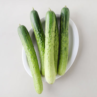 Korea Cucumber