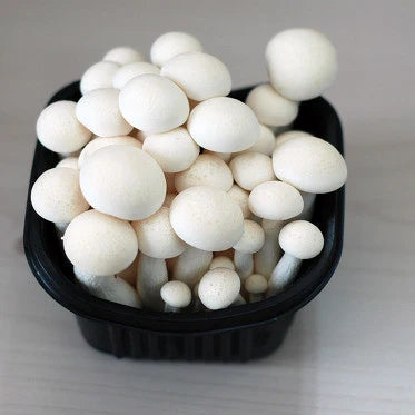 [코푸드] 만가닥 버섯 150g
