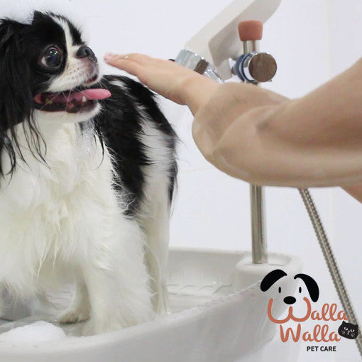 ضعها على الحوض واغسل بسهولة، لوح استحمام الحيوانات الأليفة WALLAWALLA SHOWER BOARD